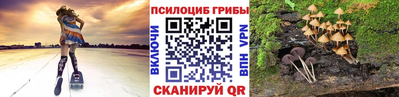 Псилоцибиновые грибы мицелий  Фатеж 